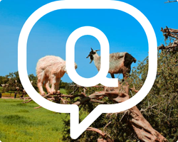 Untitled design (52)