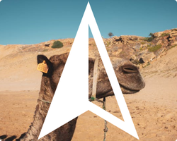 Untitled design (53)