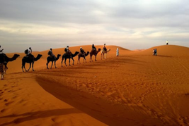 people riding camels during the day in the moroccan desert