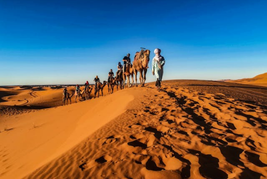 people riding camels with their guide in the moroccan desert