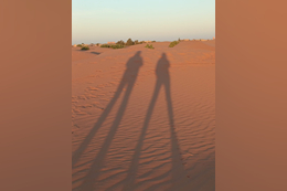 WhatsApp Image 2023-11-21 at 14.35.34 (2)