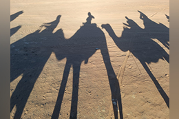 WhatsApp Image 2023-11-21 at 14.35.34