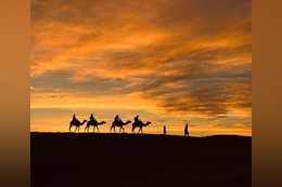 WhatsApp Image 2023-12-22 at 12.39.20