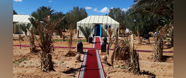 WhatsApp Image 2024-01-11 at 14.44.49 (4) (1)