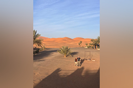 WhatsApp Image 2024-09-11 at 11.24.42