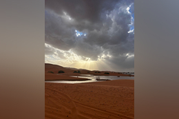 WhatsApp Image 2024-11-22 at 10.42.16 (7)