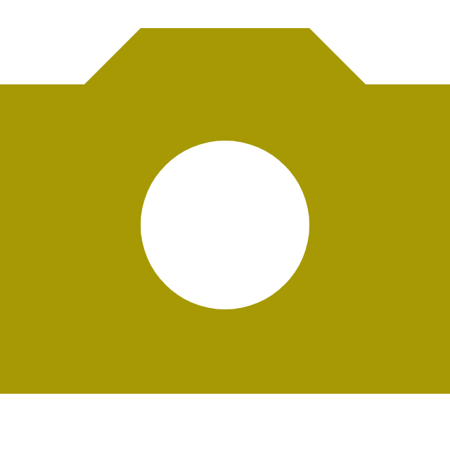 camera-svgrepo-com (1)