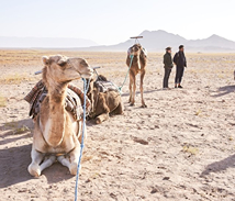 gabriele-stravinskaite-gStG3XkIXpc-unsplash (1)