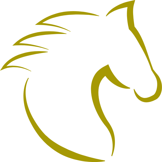 horse-head-with-hair-outline-from-side-view-svgrepo-com