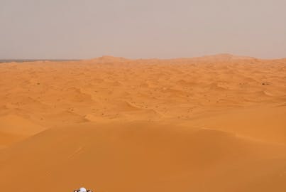 pexels-1093389518-31703991