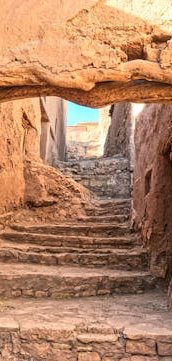 pexels-154785279-10790259 (1)