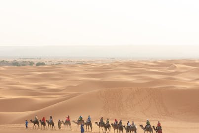 pexels-ali-elfaziki-2149433841-30736697