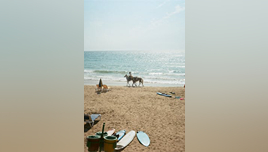 pexels-anastasia-r-121962574-9904213 (1)