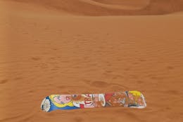 pexels-ann-ost-253748497-17497826