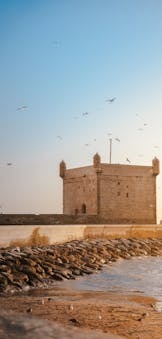 pexels-ayoub-moukhliss-1262835-30065679 (1) (1)