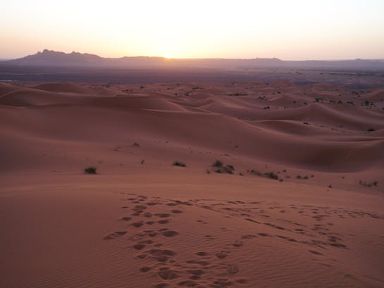 pexels-fives-tm-990299524-30099211 pexels-fives-tm-990299524-30099211