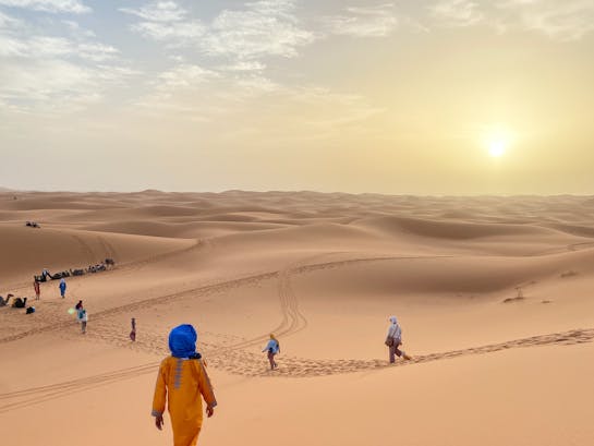 pexels-hamza-24407130 (1) pexels-hamza-24407130 (1)