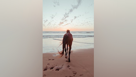 pexels-hazardos-11336244 (1)