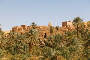pexels-hosni-hannoun-1435241-2774966