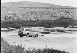 pexels-igonkin-10277568