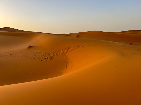 pexels-kristen-haennel-2149718872-30757346 (1) pexels-kristen-haennel-2149718872-30757346 (1)