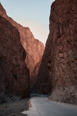 pexels-lizhi-liang-734722063-23551283 (1)