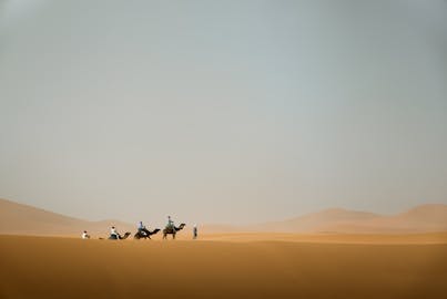 pexels-lizhi-liang-734722063-23551343