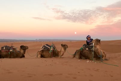 pexels-manon-16112851-6376611