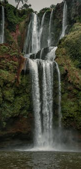 pexels-meriem-2149355236-31704903 (1) (1)