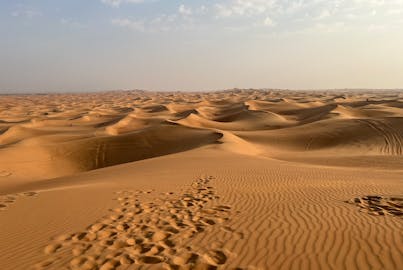 pexels-mmphotography-13720189