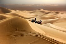 pexels-mographe-11294565 (2)