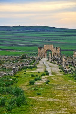 pexels-mographe-11517326