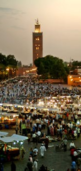 pexels-mographe-15360681 (1)