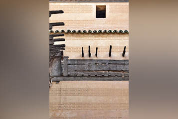 pexels-mographe-30159109 (1)