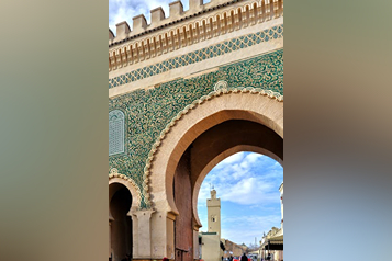 pexels-mographe-30279399 (1)