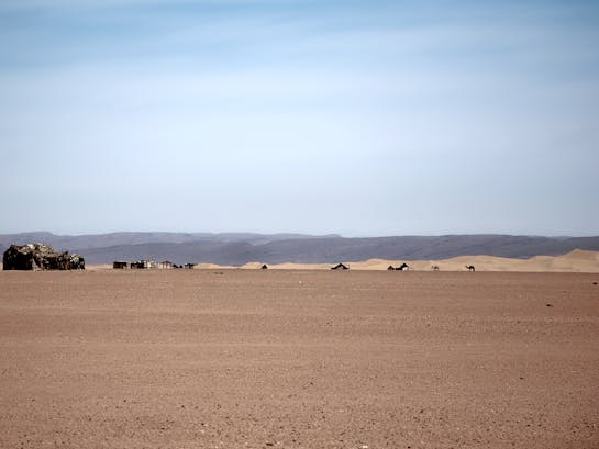 pexels-mographe-30489581 pexels-mographe-30489581