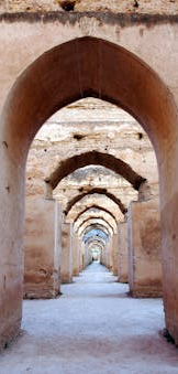 pexels-mographe-30818258 (1) (1)