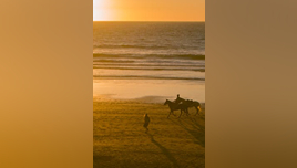 pexels-mustafa-baarouss-267677088-15044398 (1)