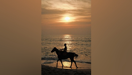 pexels-richard-l-2150581203-32138611 (1)