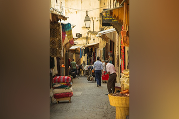 pexels-ryutaro-5472511 (1)