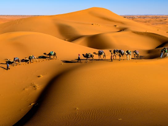 pexels-sergey-pesterev-69811391-8357638 pexels-sergey-pesterev-69811391-8357638