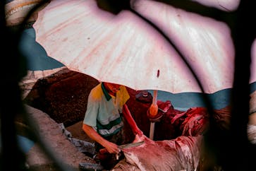 pexels-taken-by-great-1293037072-27893079