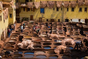 pexels-thomas-rainero-291933503-17042437 (2)