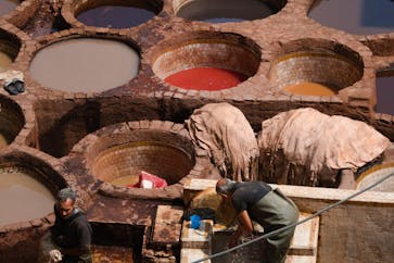 pexels-thomas-rainero-291933503-17042451