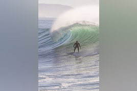 pexels-timothy-parrant-3111190-4709535 (1) (1)