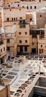 pexels-vlasceanu-19190883 (1) (1)