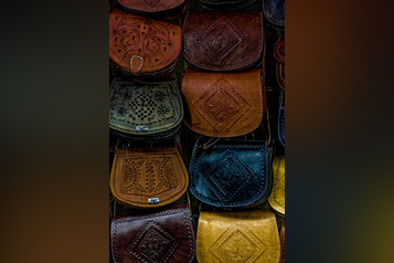 pexels-youssef-baalla-421912064-21326994 (1)