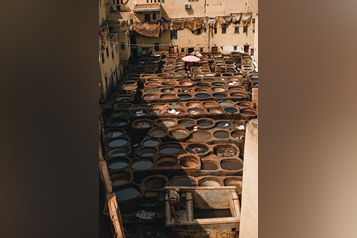 pexels-yusuf-rovcani-n-2335615-29538401 (1)