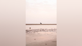 pexels-zakaria-meraouf-154782178-10613169 (2)