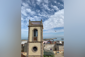 ayoub-ouazizi-wd0cr_V2hWc-unsplash (2) (1)